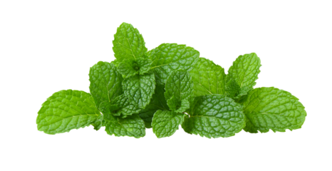Mint leaves on transparent png