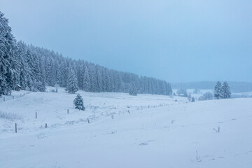 Schöne Winterlandschaft auf den Höhen des Thüringer Waldes bei Oberhof - Thüringen - Deutschland