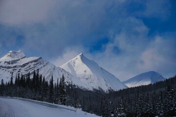 Obraz premium Banff National Park , Alberta , Canada. The Icefields Parkway has been deemed one of the most beautiful road trips in the entire world. 11 01 2023