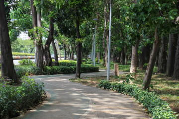 quite street under shady trees in city forest or city park
