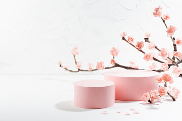 Tender spring stage - two cylinder podiums mockup, branch of lush pink cherry flowers in sunlight...