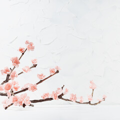 Delicate pink sakura flowers on branch in soft light white interior on white wood table, plaster wall, copy space, square. Spring flowers scene for advertisement, presentation of products, design.