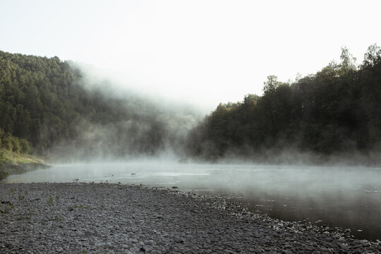 Tranquil cryptic and gloomy early morning landscape with cold mist on lake - soft white haze on water and dim silhouette of green forest, grey pebble shore. Mysterious silent sunrise in wild nature.