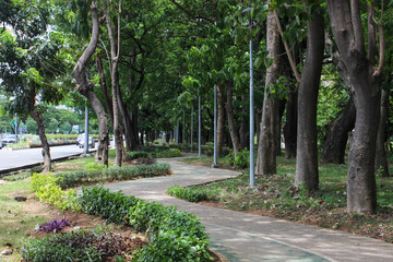 quite street under shady trees in city forest or city park
