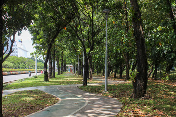 quite street under shady trees in city forest or city park