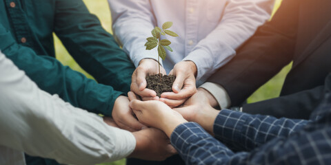 Teamwork and cooperation to conserve the green business forest of growing with plants in the hands...