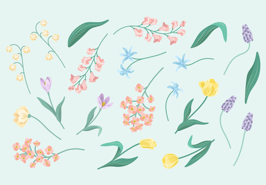 Spring Flowers