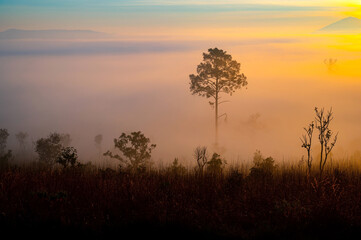 Fototapeta na wymiar Aerial view background of sunlight , sunrise over mountain with fog over the ground in foreground savannah Meadow , Petchaboon province, Thailand,asia.Soft focus.