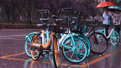 Bicycles on the street