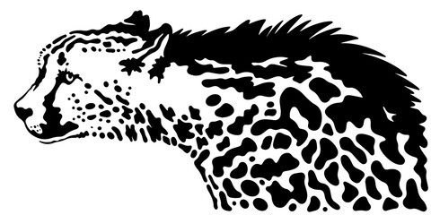 vector king cheetah illustration on white background	