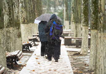 People walking in the snowstorm