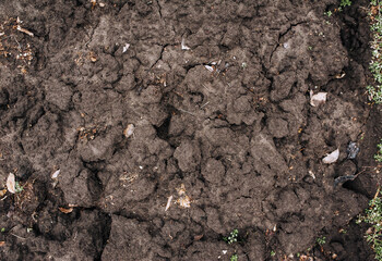 Dug up uneven soil, soil, earth, black earth close-up. Photography, nature, background, texture, top view.