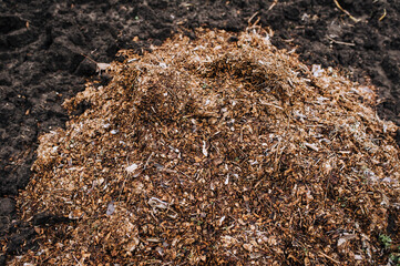 A large pile of manure, humus, leaf fertilizer from the forest lies on the ground in the garden. Photography, nature, background, top view, gardening.