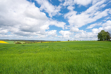Felder und Wiesen im Sommer