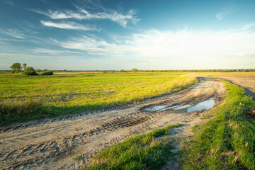 Sandy road with a puddle through rural fields and white clouds on the sky, Czulczyce, Poland