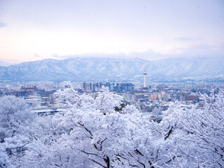 真っ白に雪化粧した京都市街地と京都タワー