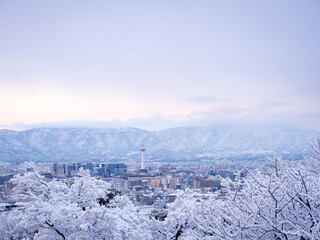 Naklejka premium 真っ白に雪化粧した京都市街地と京都タワー