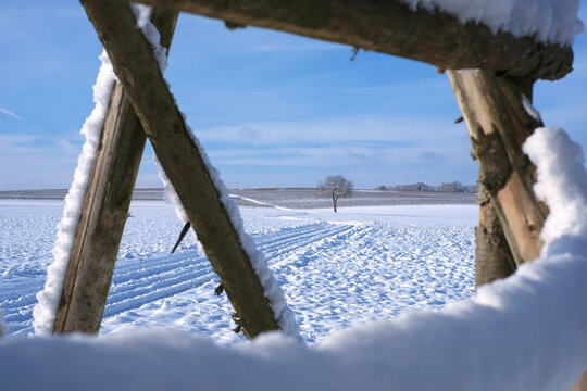 Tree - snow-covered landscape - wooden beams