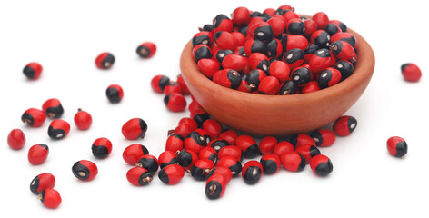 Abrus precatorius or Indian liquorice Seeds over white background