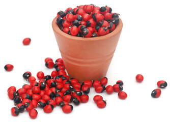 Abrus precatorius or Indian liquorice Seeds over white background