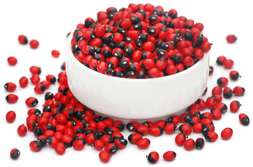 Abrus precatorius or Indian liquorice Seeds over white background