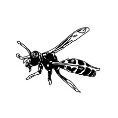 Black and white sketch of a wasp with transparent background