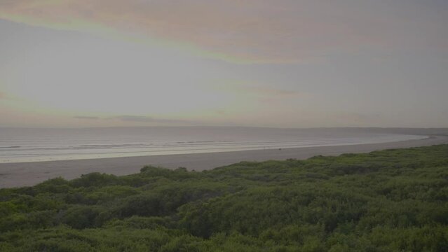 The beautiful view coastline with green bushes and gentle waves