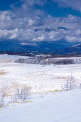 長野県・諏訪市 冬の車山高原の風景