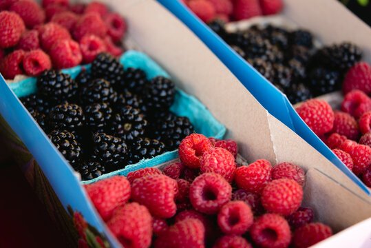 High angle view of raspberries and blackberries in boxes for sale at store