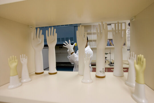 Scientist with the Yulex Corp., makes prototypes of rubber gloves to test different formulations of guayule latex