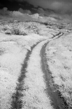 A view of the dirt road to Ilio point on Molokai, Hawaii. (Infrared)