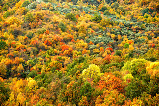 The Natural Park of Fuentes del Narcea, Dega&Atilde;&plusmn;a and Ibias is a natural park located in Asturias, Spain. It was declared a Natural Park in 2002. It is distributed through the territ