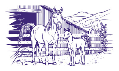 Mother horse and little horse are standing near the farm. Vector linear illustration for Coloring pages.