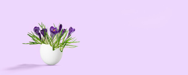 isolated spring flowers in an egg for easter decoration, symbol for awakening of new life in...
