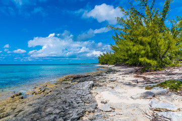 A view of a rocky shoreline on a deserted beach on the island of Eleuthera, Bahamas on a bright sunny day