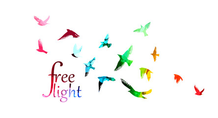 Abstract colored flying birds. Mixed media. Vector illustration