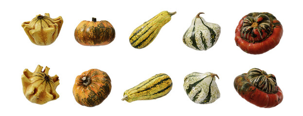Fruit and healthy food concept. Winter squash isolated on transparent background. 3d rendering illustration. PNG format