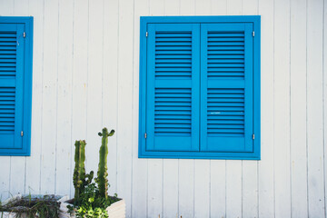 White facade with cactus and blue door on magic Procida Island.