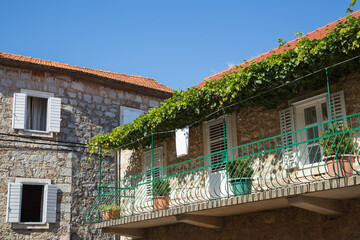 Balcony at a house facade made of stones and decorated with green plant pots and a roof with vines...