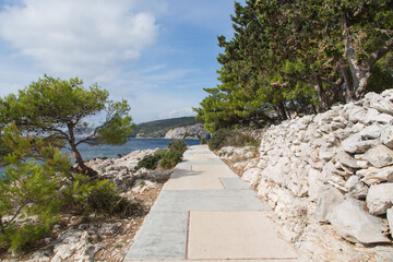 Old weathered wooden green door with a round arch bordered by stucco plastering heads and overgrown with plants and flowers, seen on the island Hvar, Croatia, vintage, garden design and landscaping