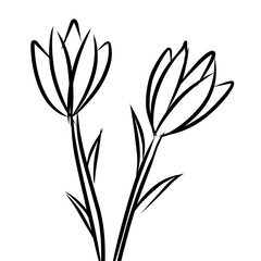 black and white silhouettes of flowers