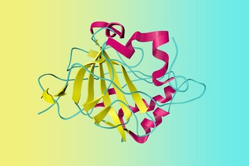 Crystal structure of human carbonic anhydrase in complex with bicarbonate. Ribbons diagram in secondary structure coloring based on protein data bank entry 2vvb. Scientific background. 3d illustration