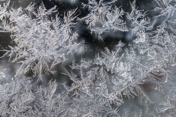 ice flowers window freezing winter subzero temperatures