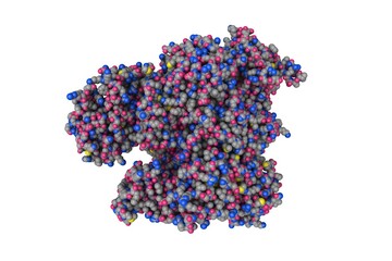 Influenza A virus H7N9 polymerase elongation complex. Space-filling molecular model. Rendering based on protein data bank entry 7qtl. Scientific background. 3d illustration