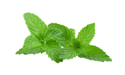 Mint leaves isolated on transparent png - obrazy, fototapety, plakaty