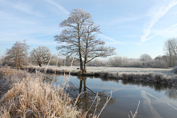 A still River Wey on a cold frosty morning, Surrey, UK.