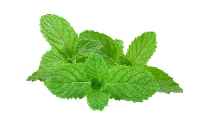 Mint leaves isolated on transparent png