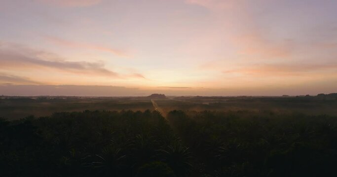 A bird's-eye view of a sunset movie scene in deep red skies over a spectacular palm oil plantation farmland.