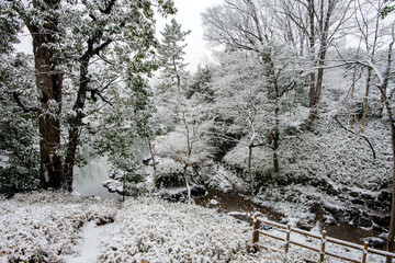冬の有栖川公園、雪景色