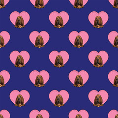 Bloodhound dog with paws pattern, Valentine's day heart wallpaper. Love heart with pet head holiday texture. Dog face Holding Heart Cartoon square background. St Valentine's day present paper.
